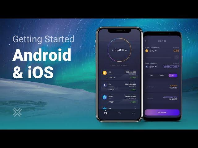 Crypto Wallet 101: How to Set Up a Crypto Wallet on Mobile (Exodus Wallet) for Android & iOS