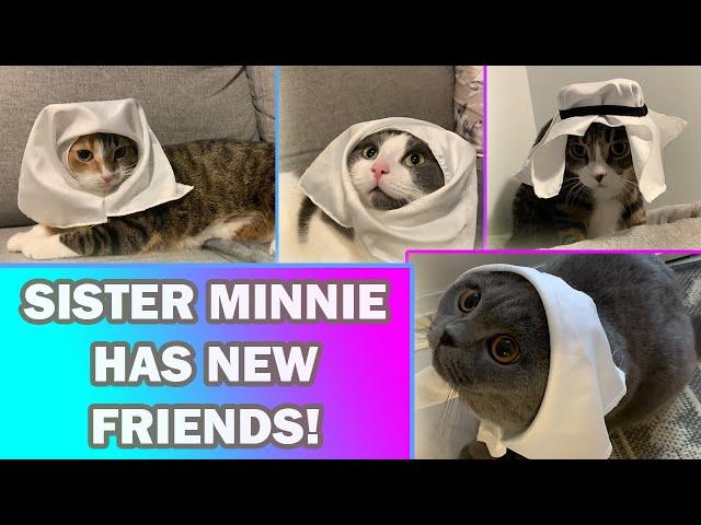 Sister Minnie Has New Friends