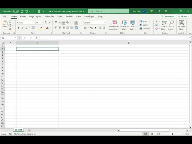 How to start a new paragraph in Excel