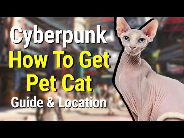 Cyberpunk 2077 - How To Get A Pet Cat (Guide & Location)