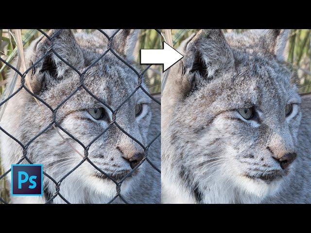 EASILY Remove a FENCE Using PHOTOSHOP