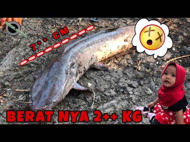  EXPLORER ️HASIL DARI NGABUBURIT AHASYA CHANNEL ️