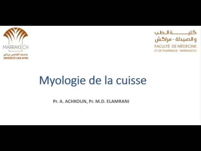 ANATOMIE FMPM MYOLOGIE DE LA CUISSE