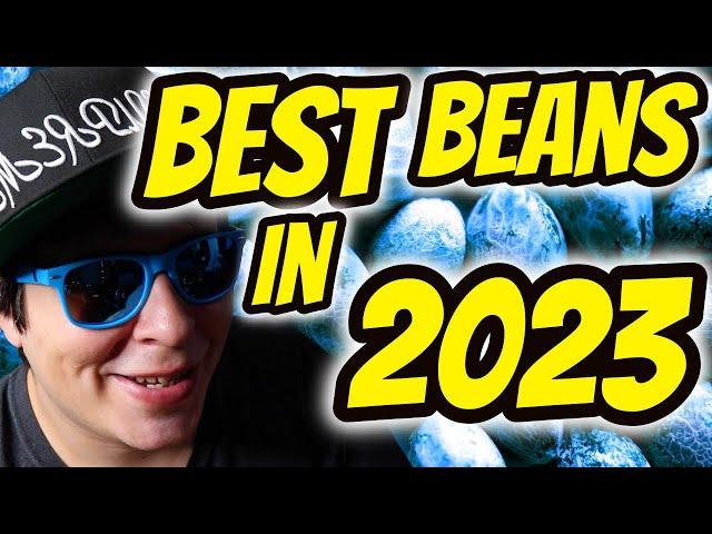 TOP 6 Bean Companies In 2023