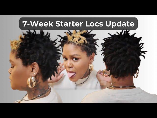 7 WEEK DIY Starter Locs Update! | my goals, moisture routine, + more! 4C Two-strand twists