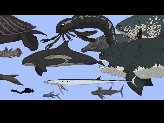 Size Comparison: Prehistoric sea monsters(Animated).