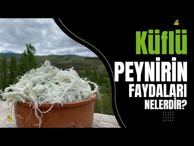 Küflü Peynir #küflüpeynir