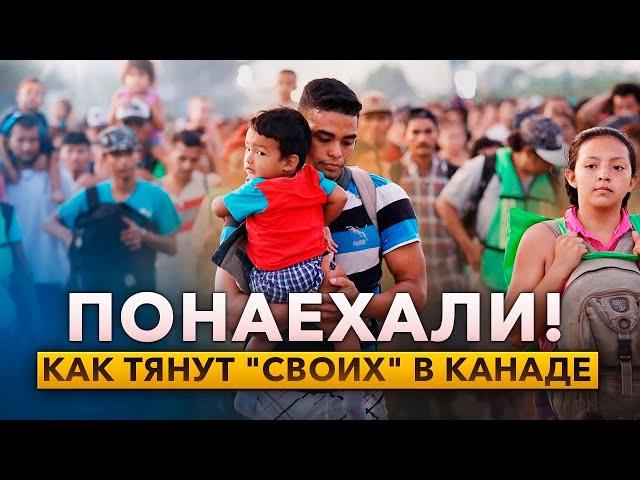 Украинцев "признали" в Канаде.