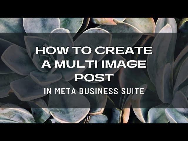 How To Set Up A Multi Image Post In The Meta Business Suite