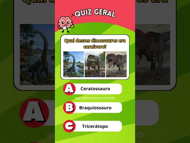 Quiz Curioso: Você Sabe Responder Essas? 