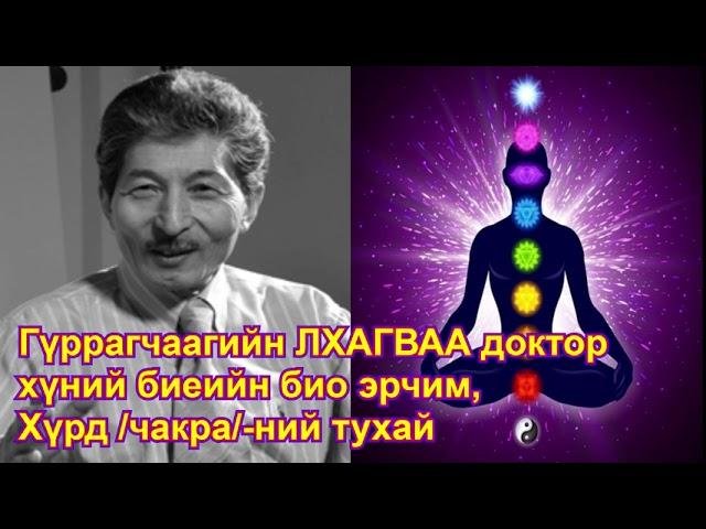 "Хүний биеийн био-эрчим, хүрд"  Гүррагчаагийн Лхагваа (PhD)