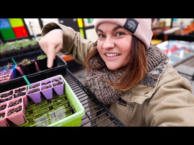 That time I killed everything (need help garden planning?) | VLOG