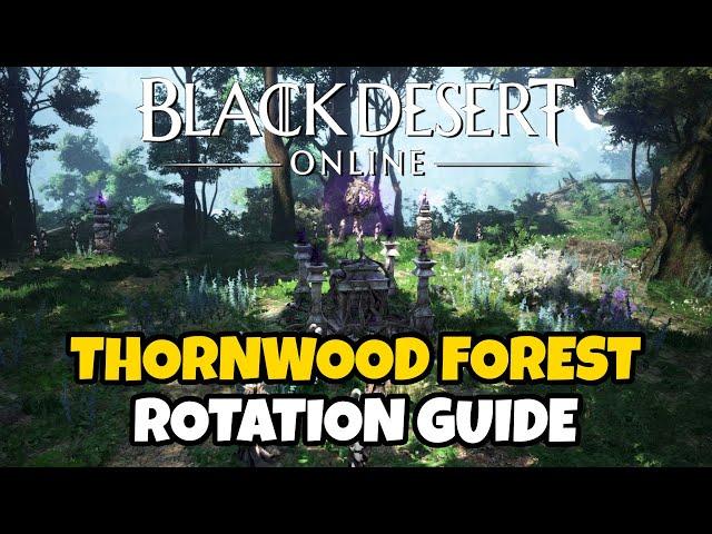 Thornwood Forest Rotation Guide | Black Desert Online