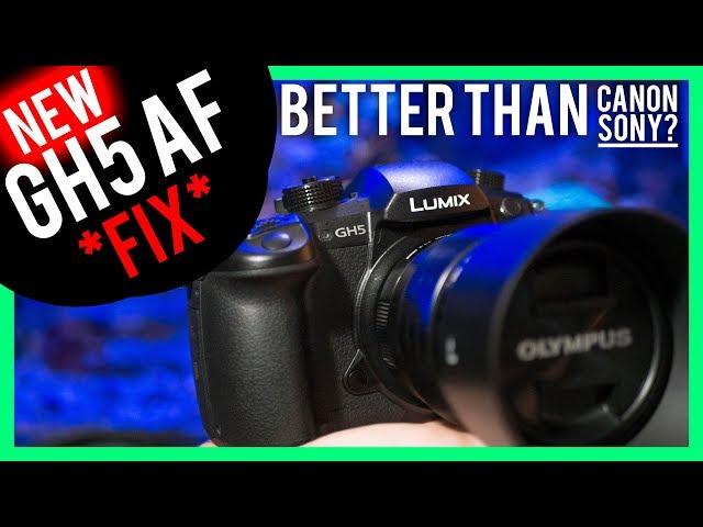 GH5 Autofocus FIX | Better than Canon/Sony?