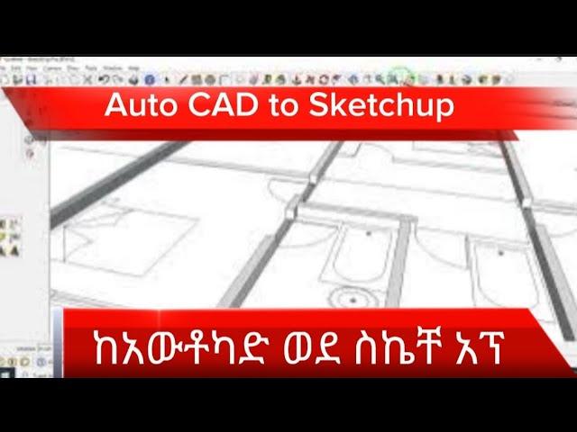 ከአውቶ ካድ ወደ ስኬች አፕ  በቀላሉ /Auto CAD to Sketchup