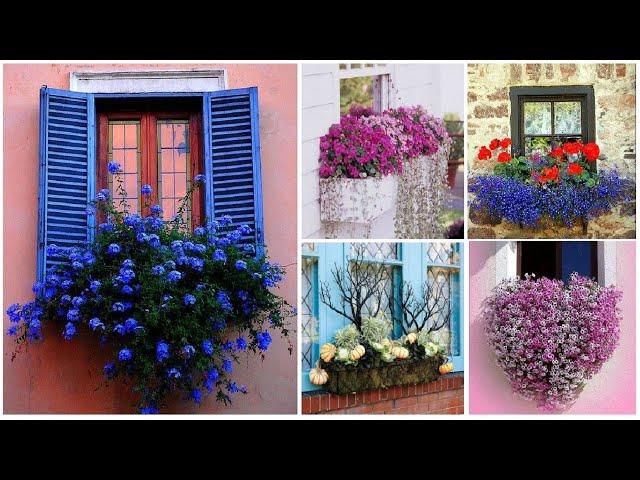 40 Window and Balcony Flower Box Ideas | garden ideas