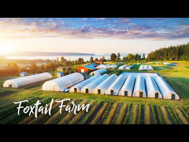 STUNNING Organic Vegetable & Flower Farm on an ISLAND!