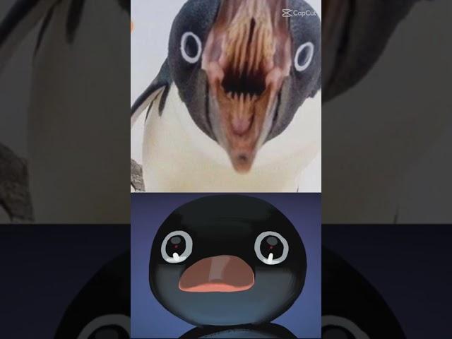 penguin are cute but the mouth is problem