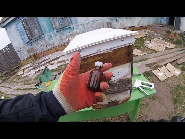 Приманка для бродячих роёв, простейший рецепт...beekeeping for beginners