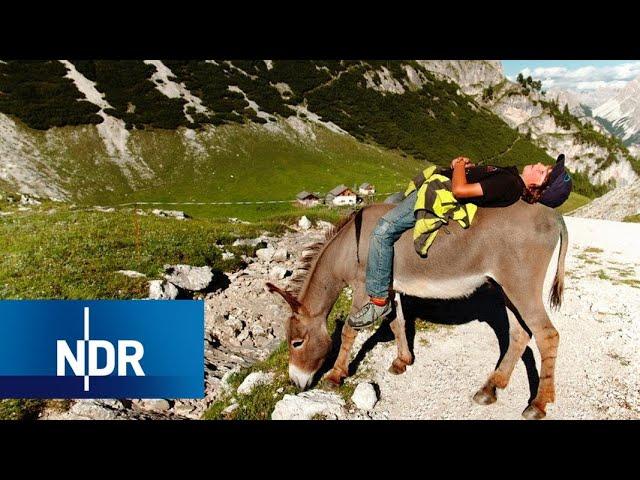 Auszeit in den Bergen - ohne Smartphone | 7 Tage... auf der Alm | Doku | NDR