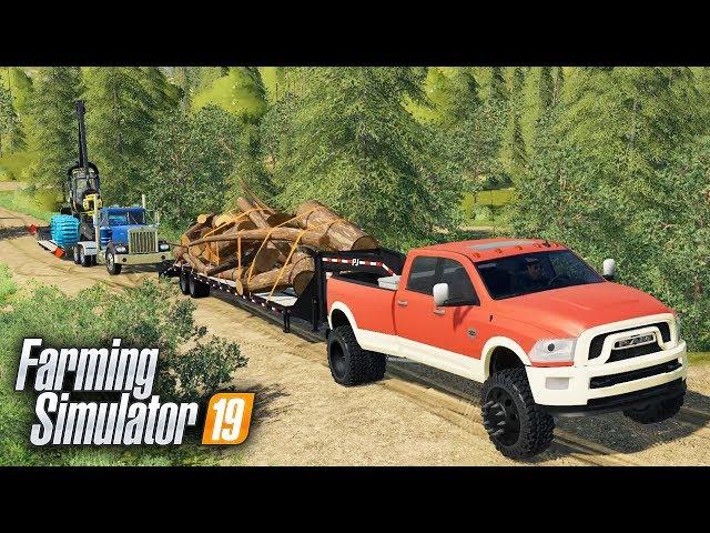 FS19- LOGGING ON "GRIZZLY MOUNTAIN" MAP! SEARCHING FOR THE BEST TIMBER | EP #1