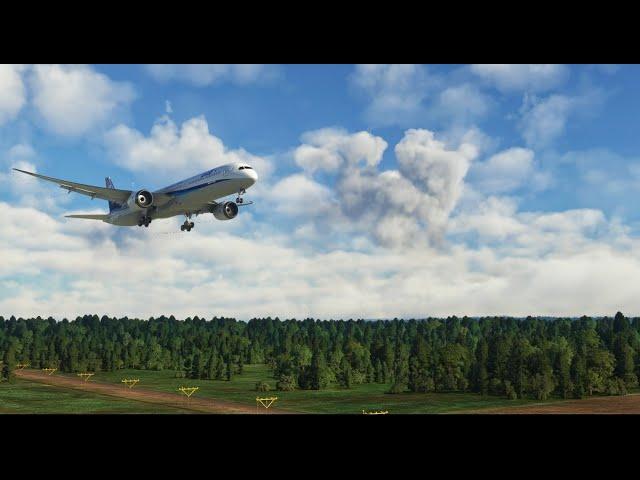 Why you should fly in Japan | MSFS | Heavy Division mod Boeing 787