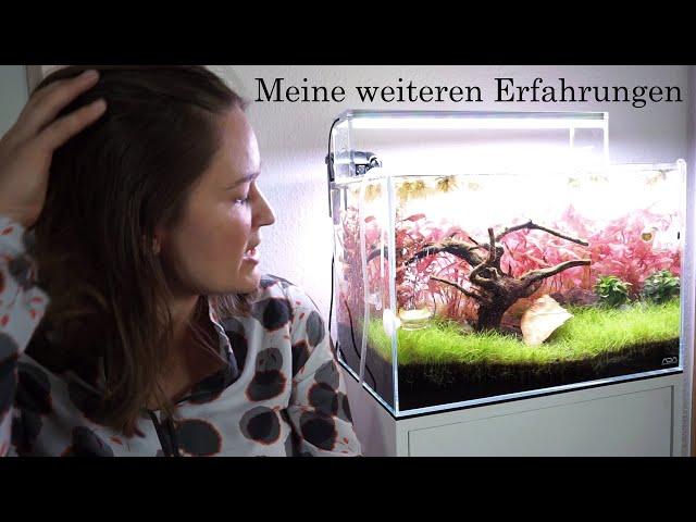 Aquascaping  - Meine weiteren Erfahrungen - Den Algen wird der Garaus gemacht!