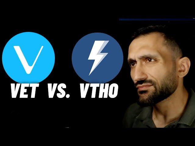 Vechain vs. VechainThor: Das mache ich!