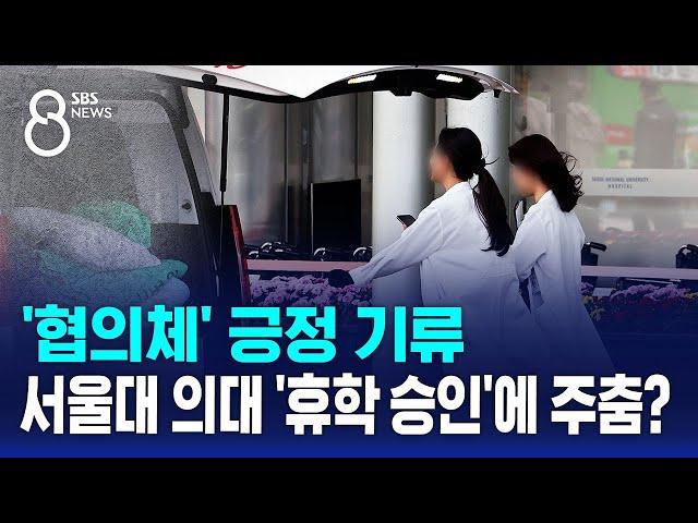 '협의체' 긍정 기류…서울대 의대 '휴학 첫 승인'에 주춤? / SBS 8뉴스