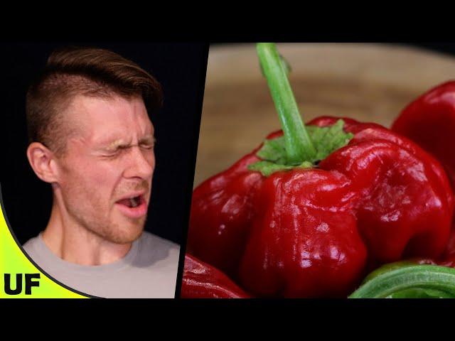 Scotch Bonnet Pepper Taste Test