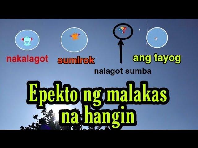 Ang lakas ng Hangin! Sa masikip lang na Bakutan kami nagpalipad ng mga Guryon na SARANGGOLA