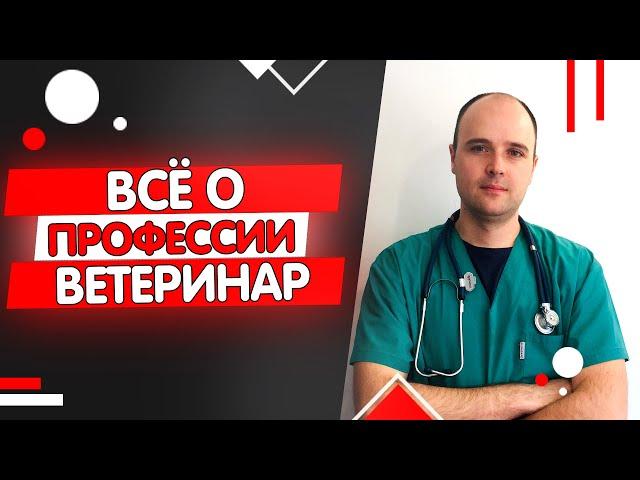 Профессия ветеринар: описание, обучение, зарплата, плюсы и минусы