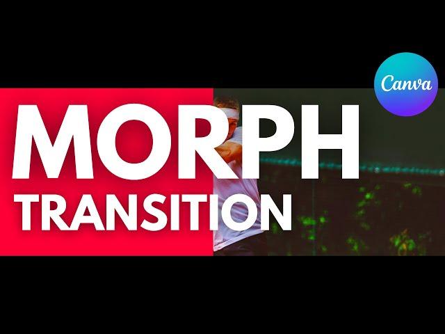 Canva Tutorial : How To Use Morph Transition to Create a Creative Intro