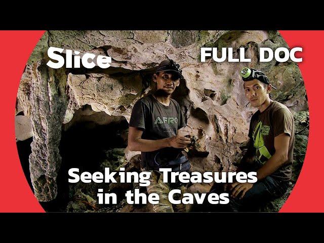 The Swallow Nest Hunters of Borneo | SLICE | FULL DOCUMENTARY