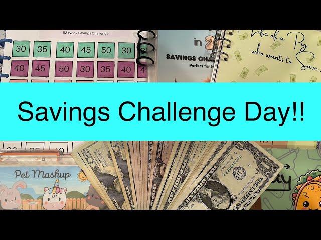 Cash Stuffing Savings Challenges l 2024 Challenge l $180 l July W2 2024