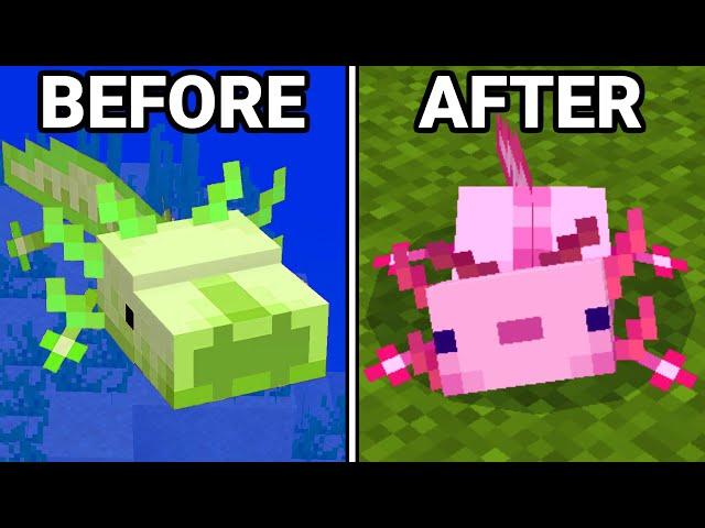 36 Minecraft Changes You Missed!