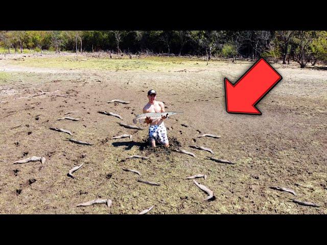 Saving MONSTER Fish from DRIED UP POND!!! (RESCUE MISSION)