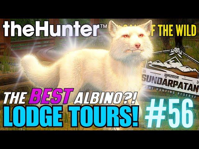 Albino Tibetan Fox Are INSANE LOOKING! Sundarpatan Trophy Lodge Tours! | Call of the Wild