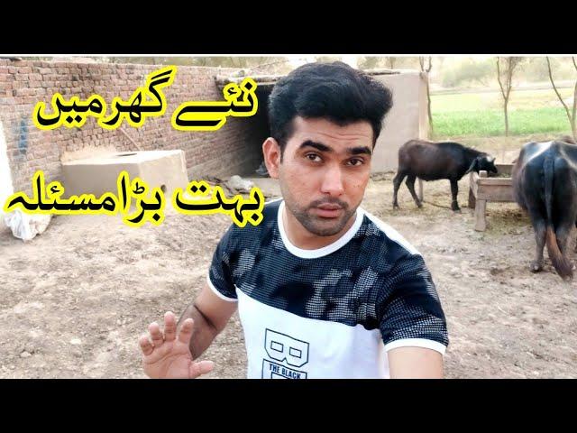 New Ghar mn Boht bari Problem | Village life in Punjab Pakistan | Shoaib Maharzada