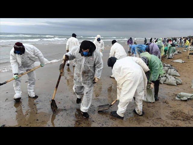 Экологическая катастрофа в Чёрном море Бастрыкин заявил все делают только люди где власть