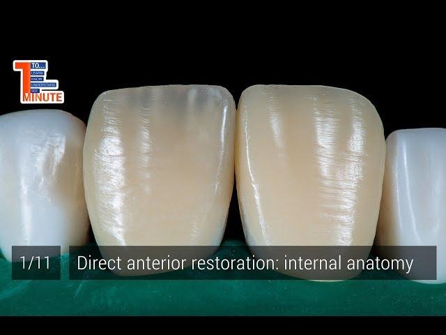 Direct anterior restoration: internal anatomy.