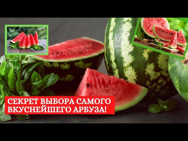 КАК ВЫБРАТЬ ИДЕАЛЬНЫЙ АРБУЗ! САМЫЙ ВКУСНЫЙ И СЛАДКИЙ!