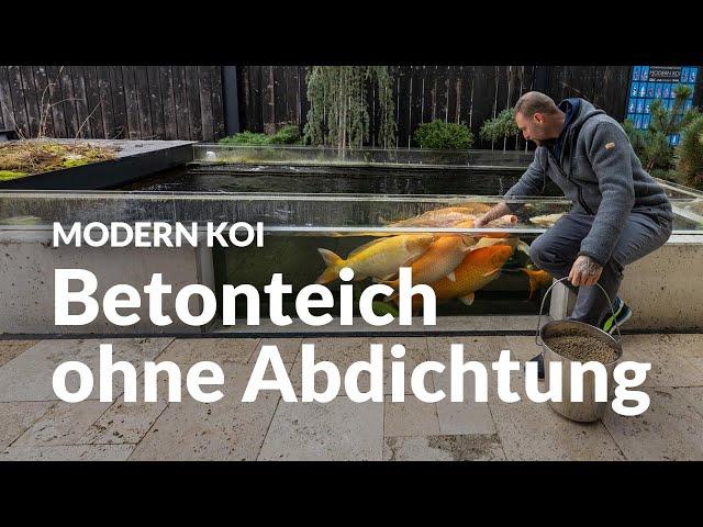 Sebastians mit 25 Jumbokoi besetzter 14.000 Liter Teich | Modern Koi Blog #6467