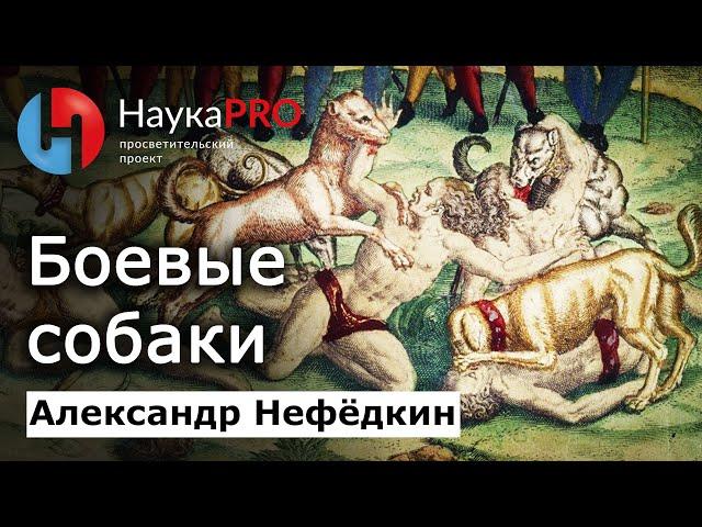 Боевые собаки – историк Александр Нефёдкин | Лекции по истории | Научпоп | НаукаPRO