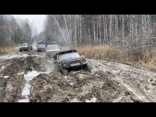 Таёжная экспедиция. Лесовозные дороги.