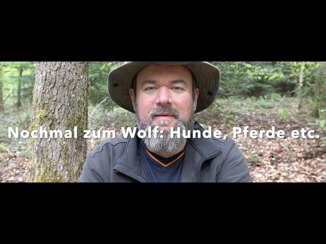 Wolfbegegnung mit Hund, Pferd oder im Lager/Schlaf