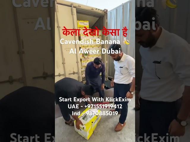 Watch Banana Container Opening Export Banana To Dubai With #klickexim #bananaexport