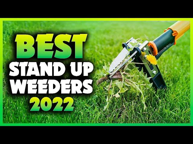 Top 5 Best Stand Up Weeders You can Buy Right Now [2023]