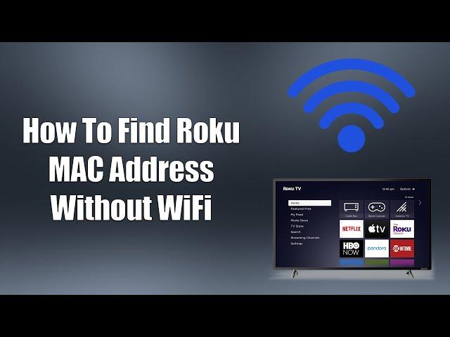 How To Find Roku Mac Address Without WiFi