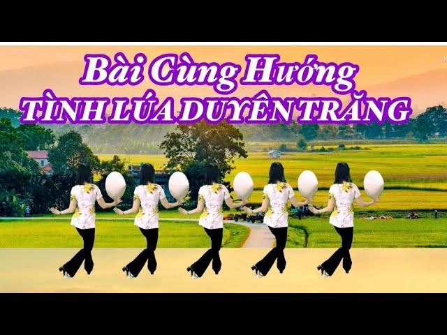 BÀI CÙNG HƯỚNG : TÌNH LÚA DUYÊN TRĂNG / BÀI HƯỚNG DẪN Ở PHẦN MÔ TẢ PHÍA DƯỚI VIDEO NÀY